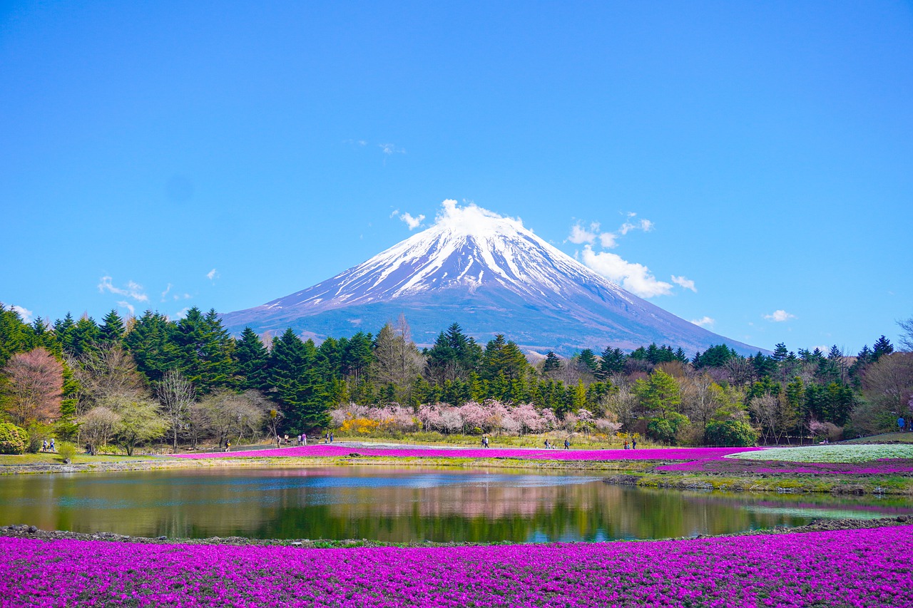 Magnificent Mount Fuji