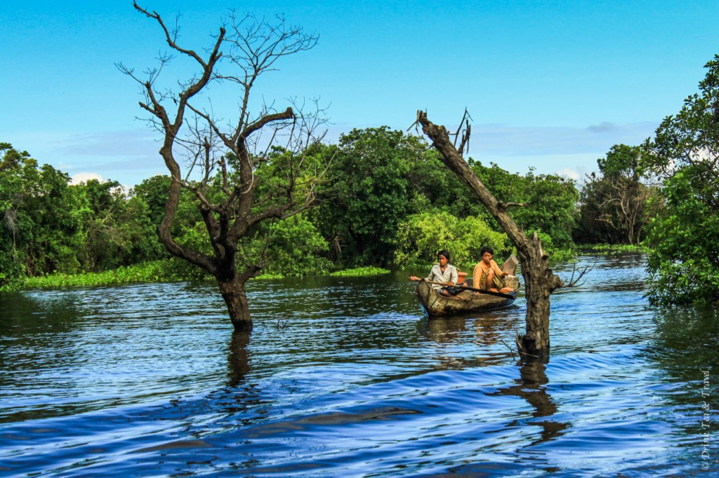 Local women navigate through the mangroves in Kampong Phluk 