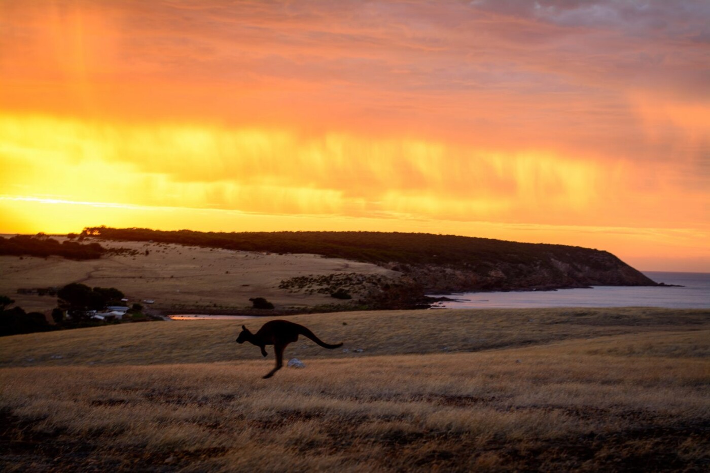 Kangaroo Island, South Australia. Photo by Matthew Fuentes via Flickr CC
