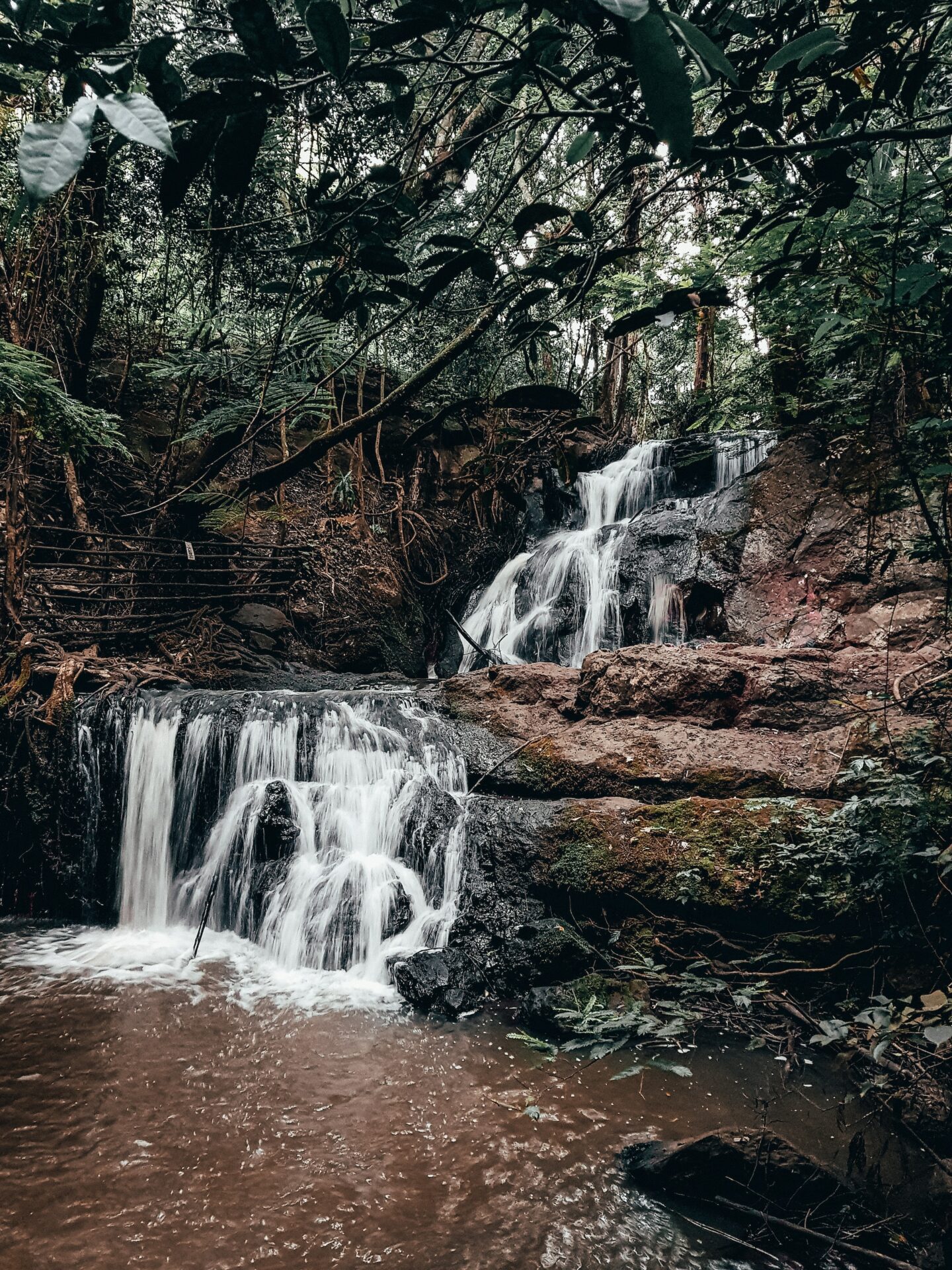 Karura Forest Reserve, things to do in kenya