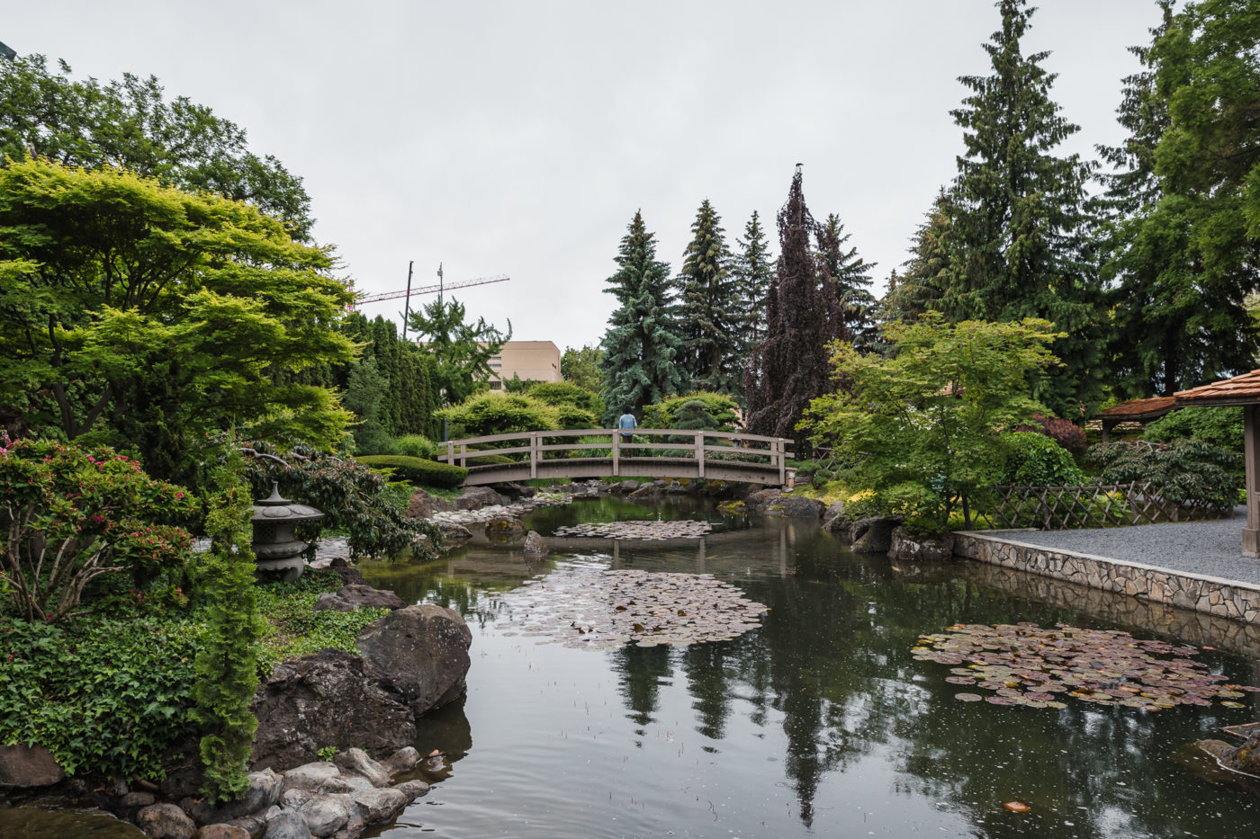 japanese garden, things to do in Kelowna