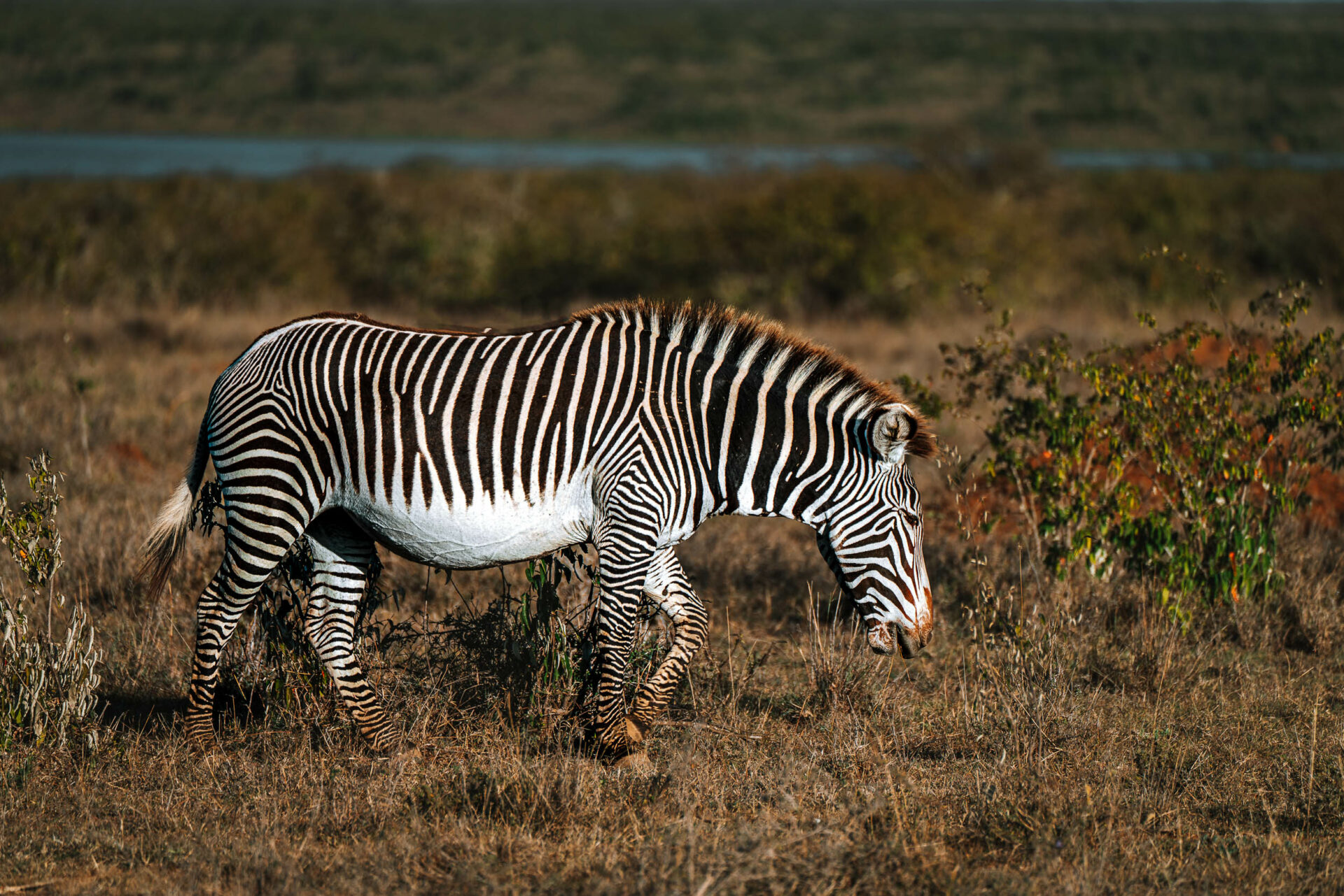 safari parks in kenya