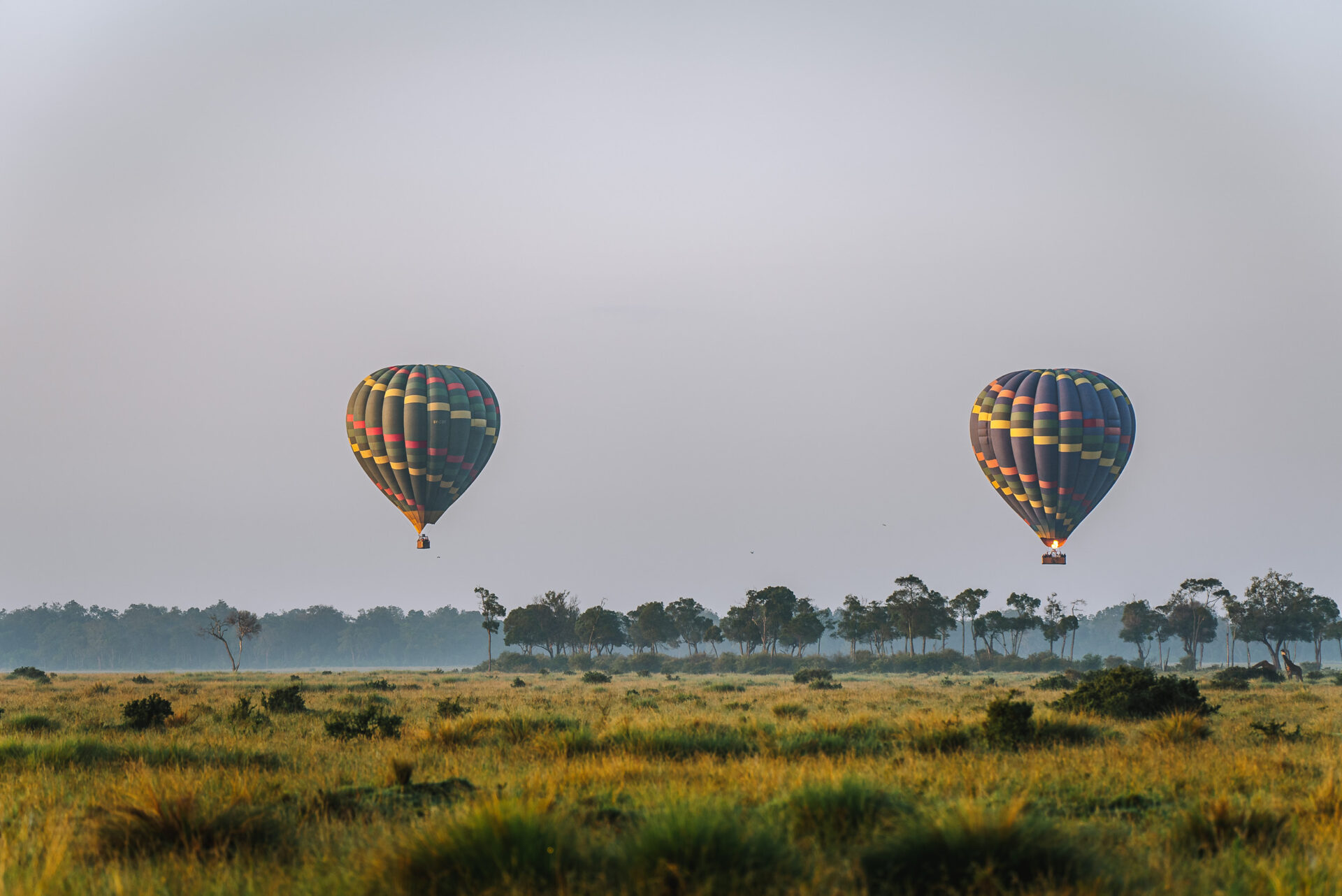 Kenya Maasai Mara hot air balloon safari 07371