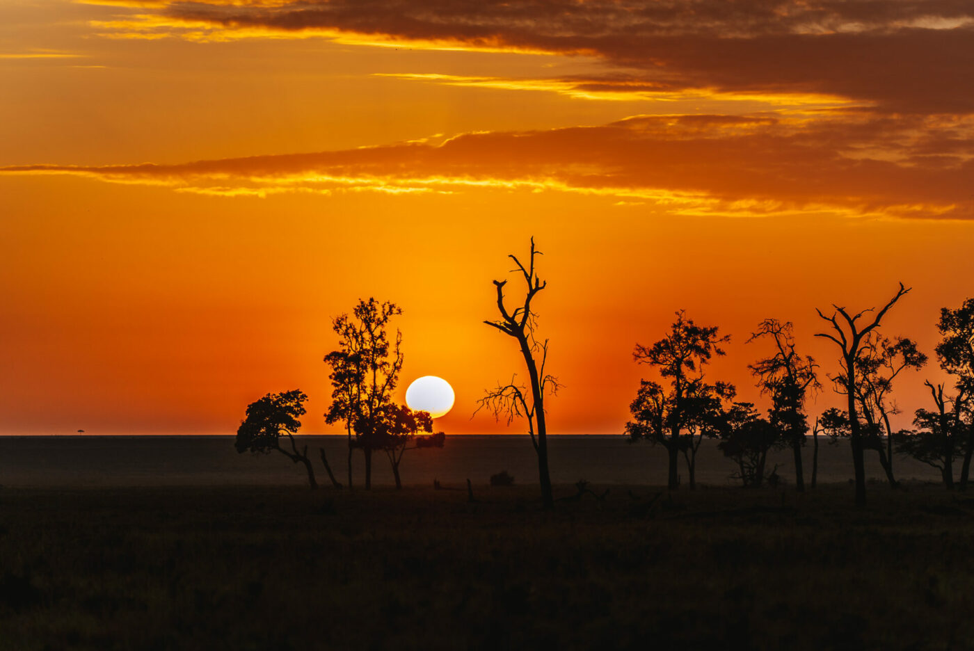 Kenya Maasai Mara sunset 07581
