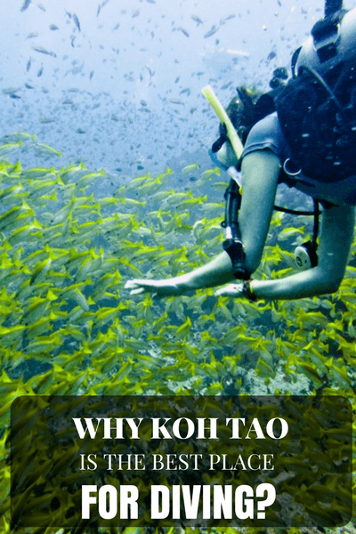 There is something about Koh Tao that makes it one of the top Thailand destinations for many backpackers from around the world. Koh Tao is a divers paradise...
