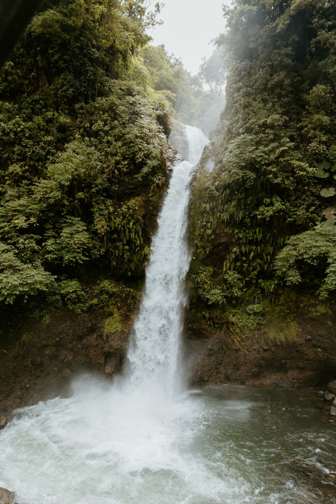 La Paz Waterfall Garden San Jose Costa Rica