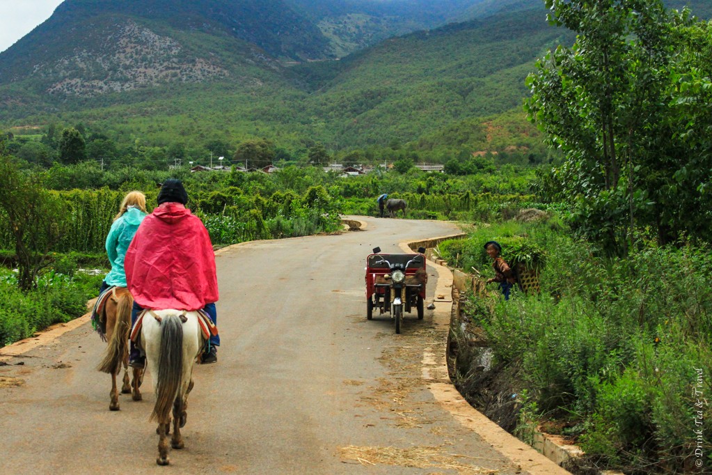 Riding past a local woman working in the field,. Outside of Lijiang, China