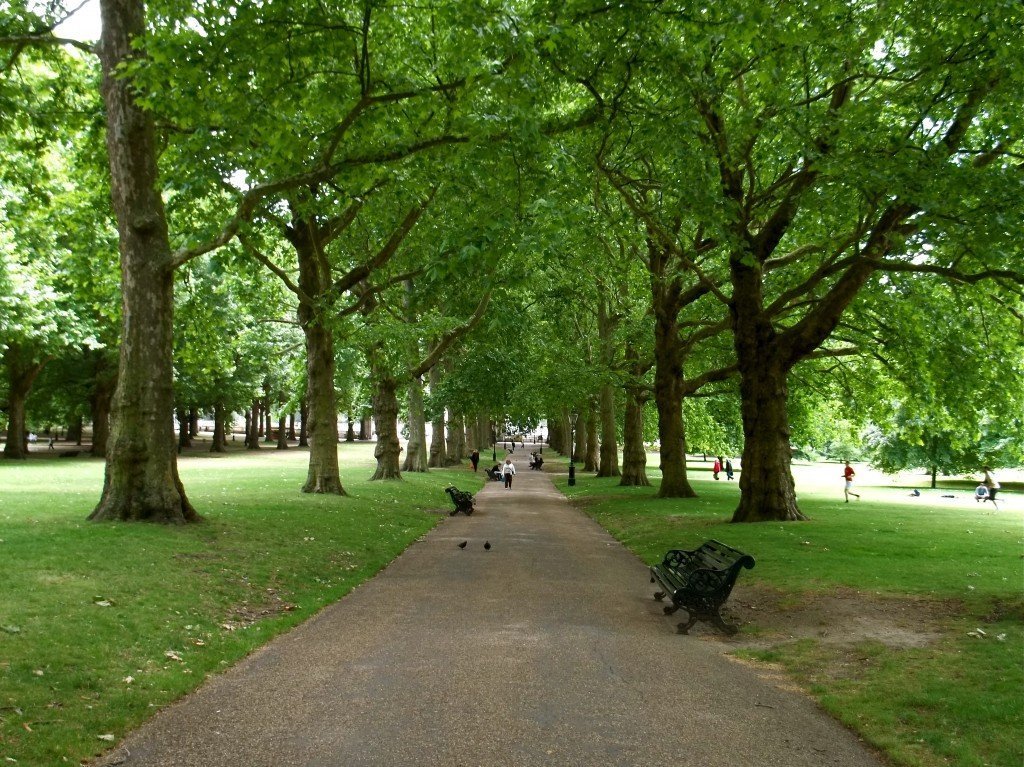 Photo Credit: C.B. Wentworth Green Park