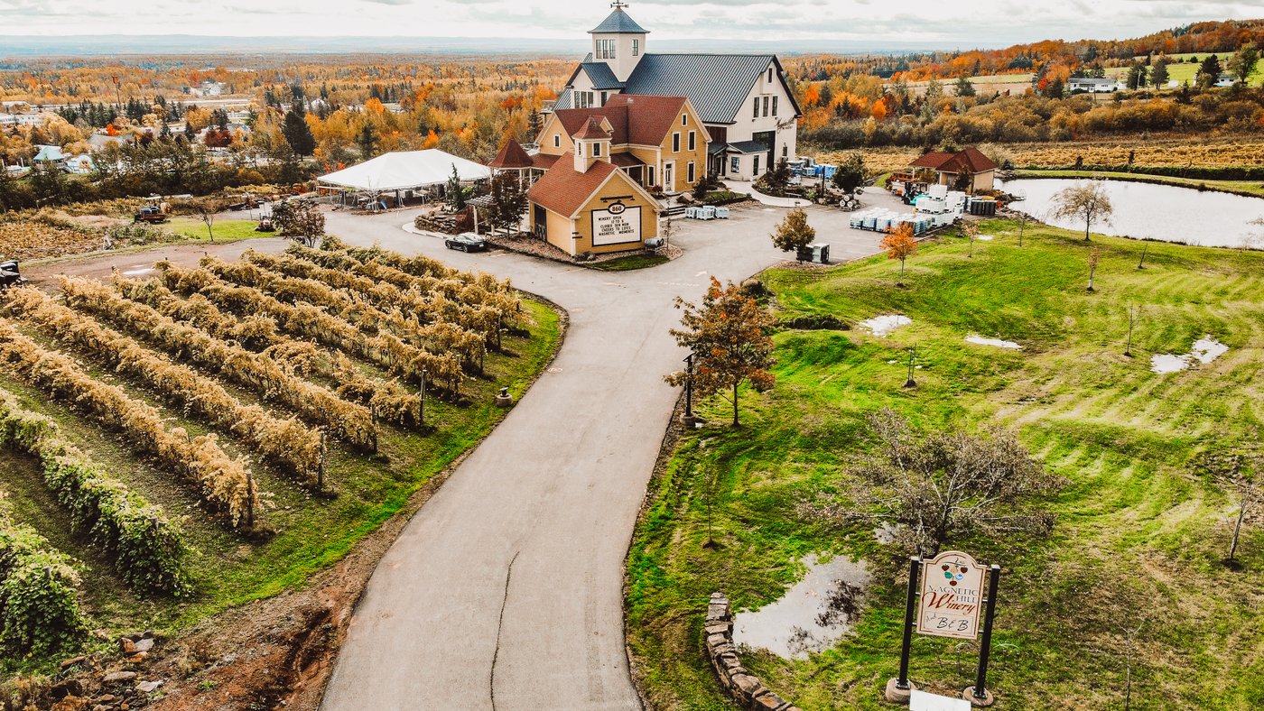 Magnetic Hill Winery, things to do in moncton