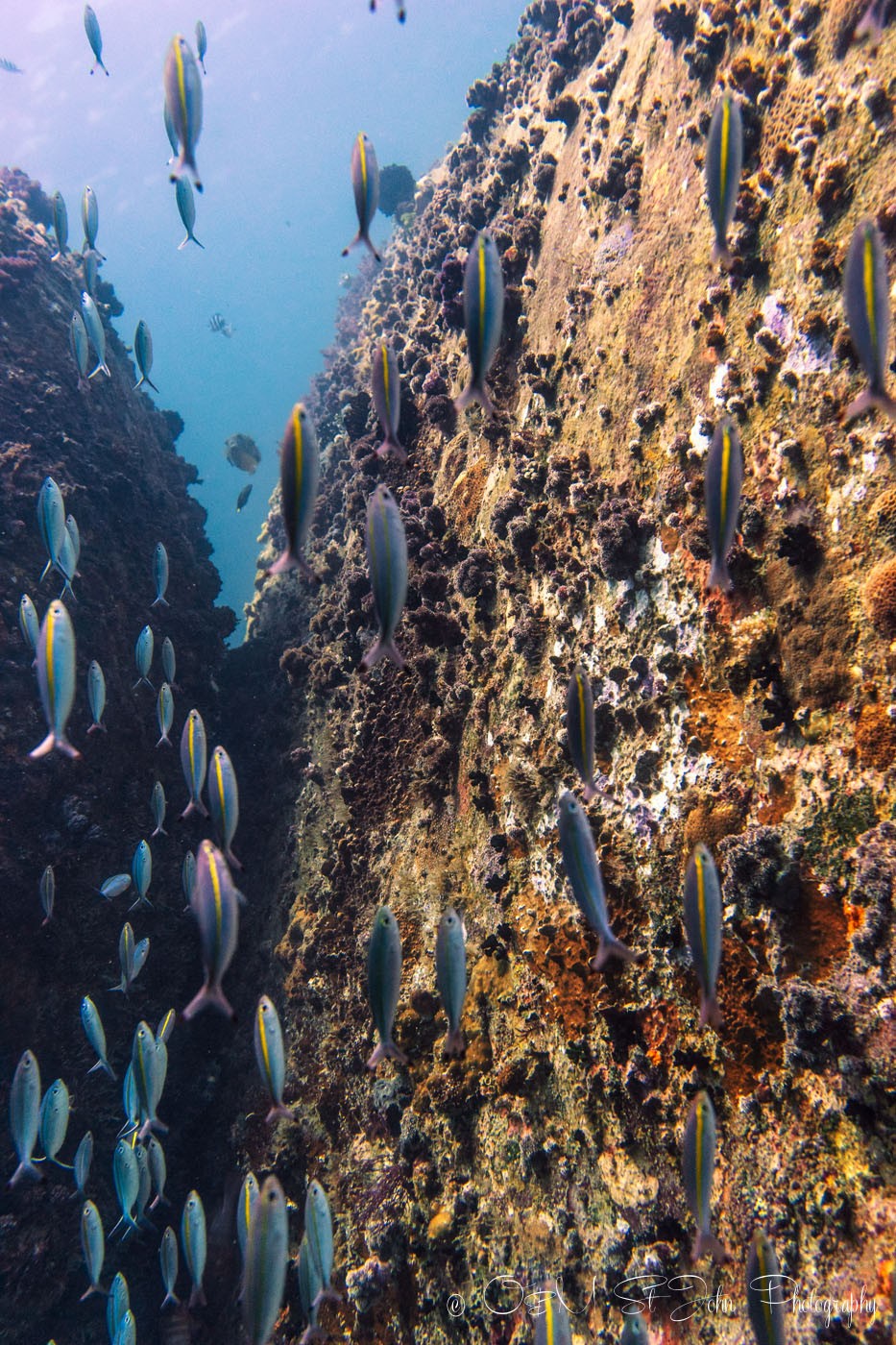 Mayne Rock with Bigfin Divers. Sabah. Malaysia