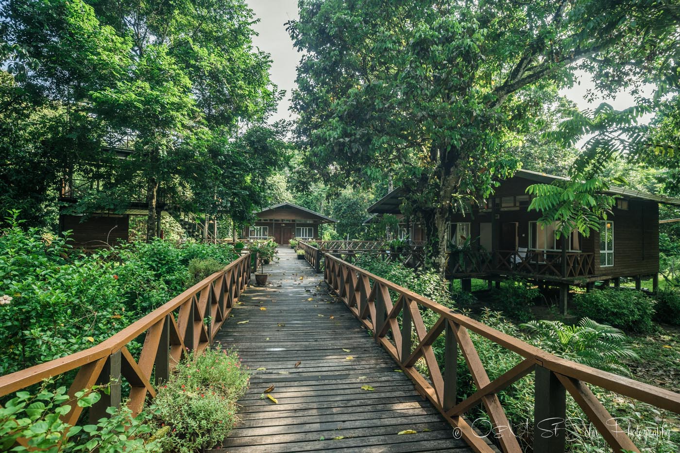 Borneo Nature Lodge on Kinabatangan River. Sabah. Malaysia
