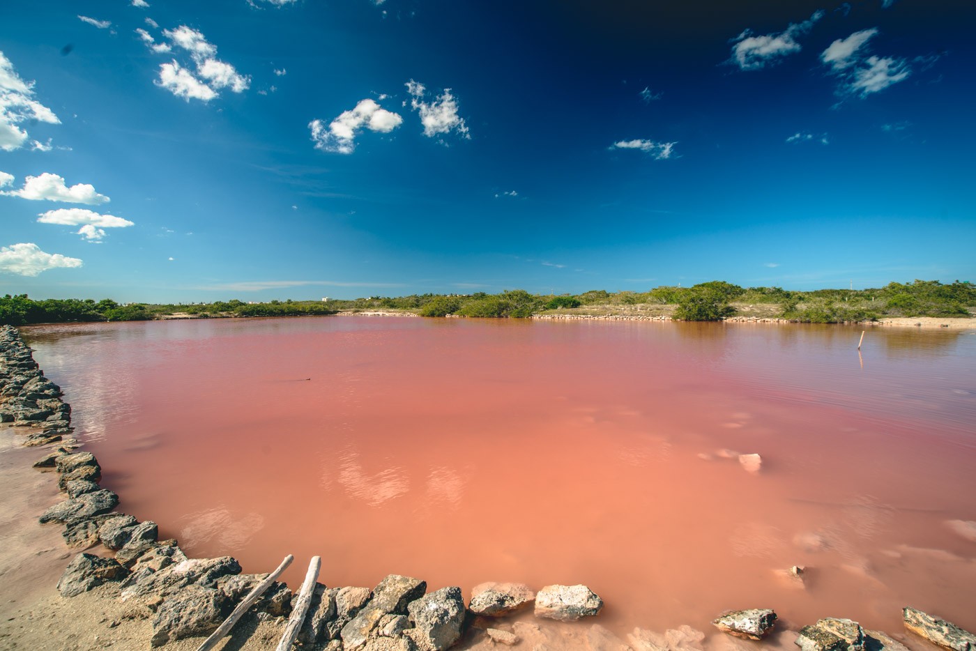 Included on the ultimate guide to Progreso Mexico