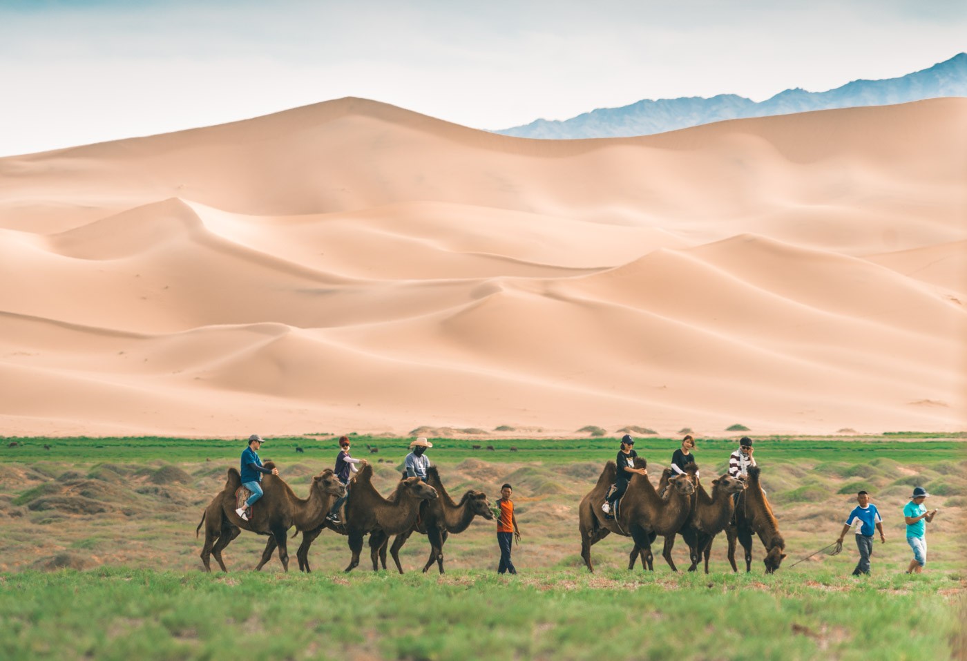 Mongolia Gobi desert camel ride 0853