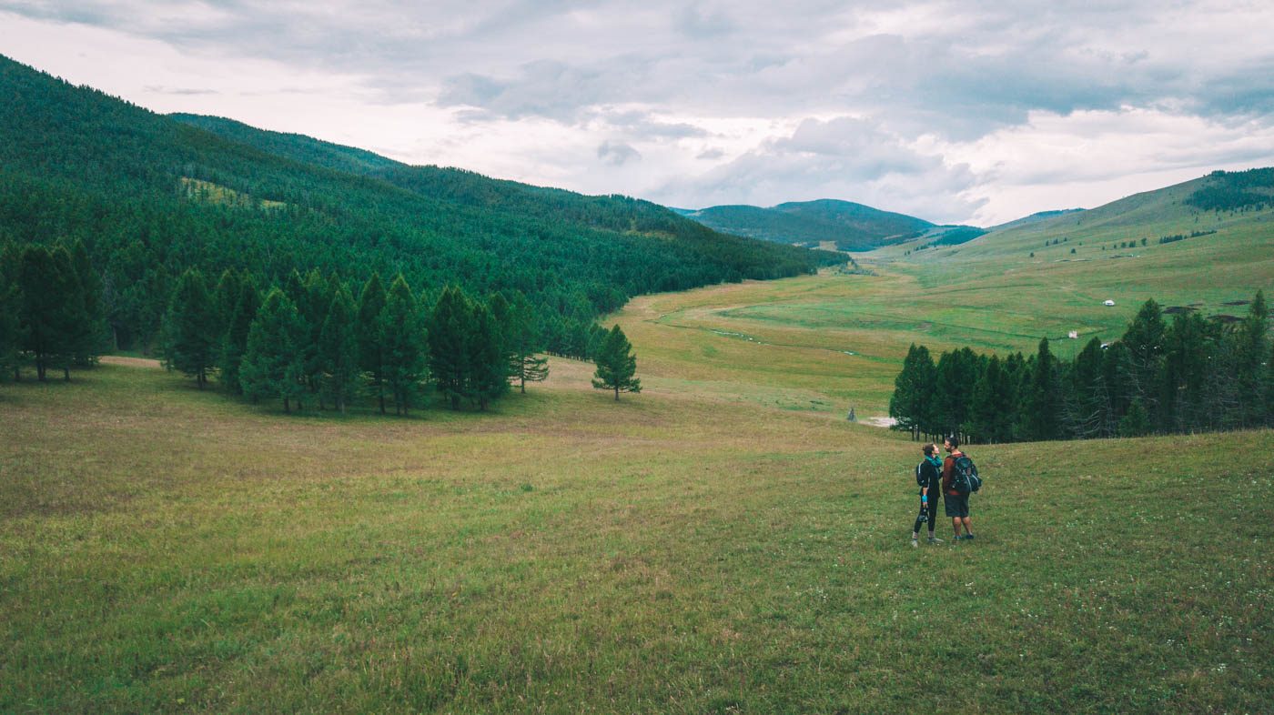 Mongolia Tsenkher valley forest OM 0173