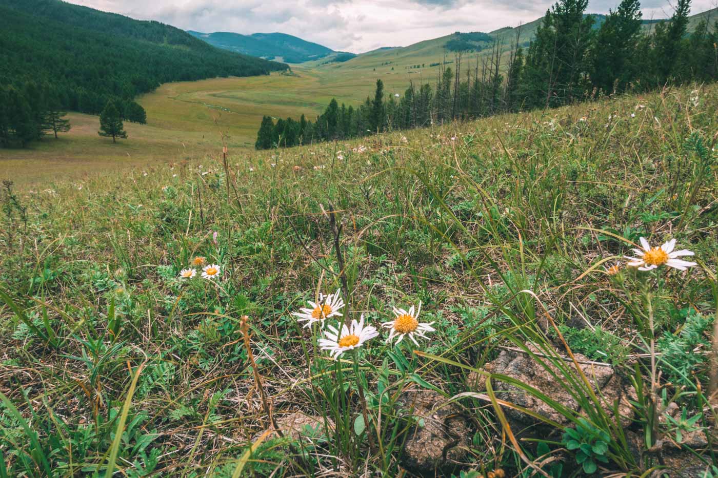 Tsenkher valley, Central Mongolia