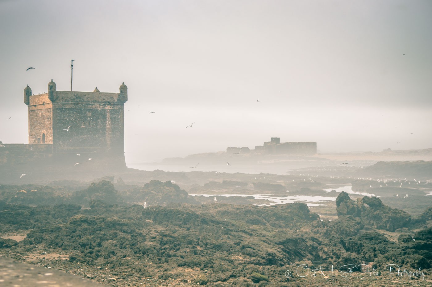 Morning fog sets in on the coast of Essaouira, Morocco