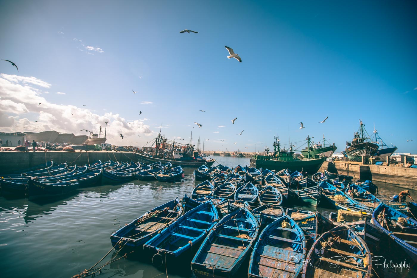 Essaouira fishing port, Morocco