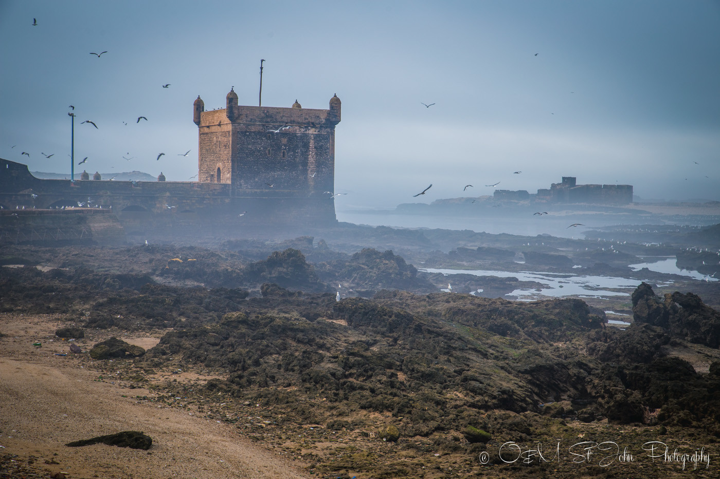 Morocco Essaouira 3422