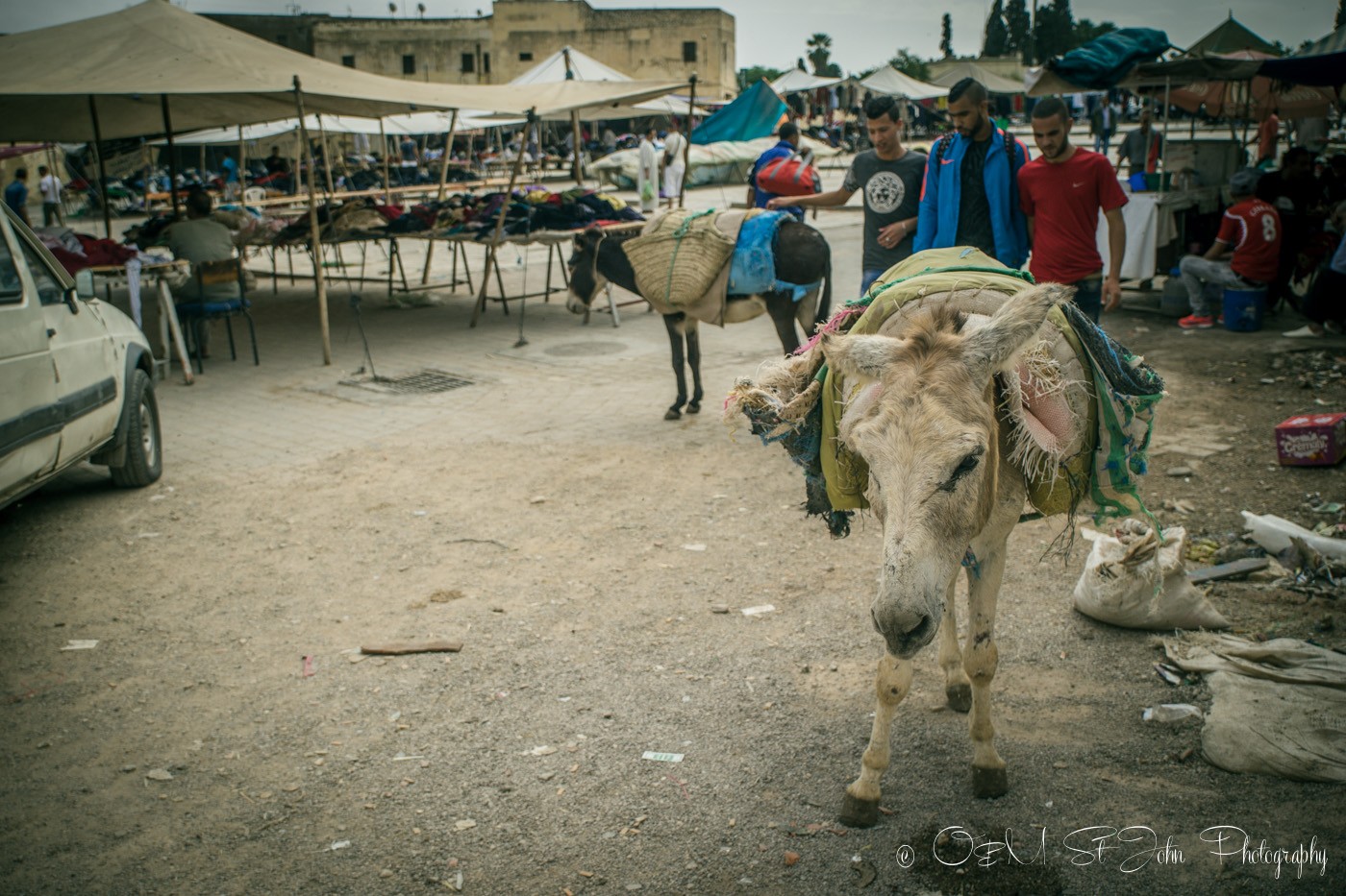 Morocco Fes 0886