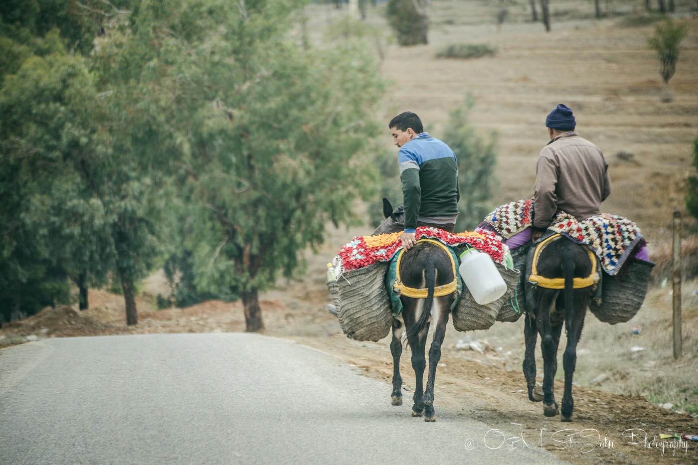 Morocco High Atlas 3570