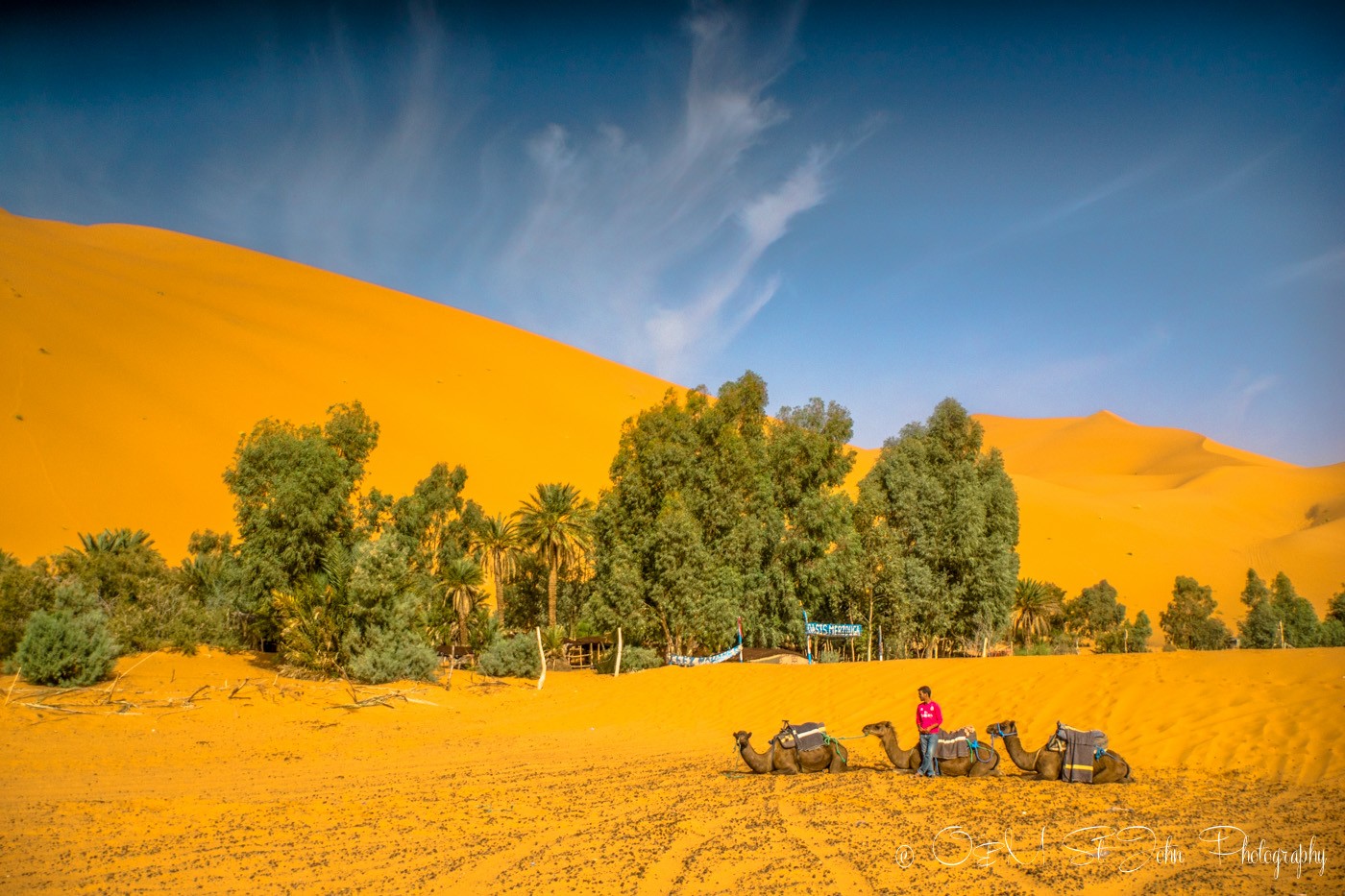 Oasis in the Sahara Desert, Erg Chebbi. Morocco