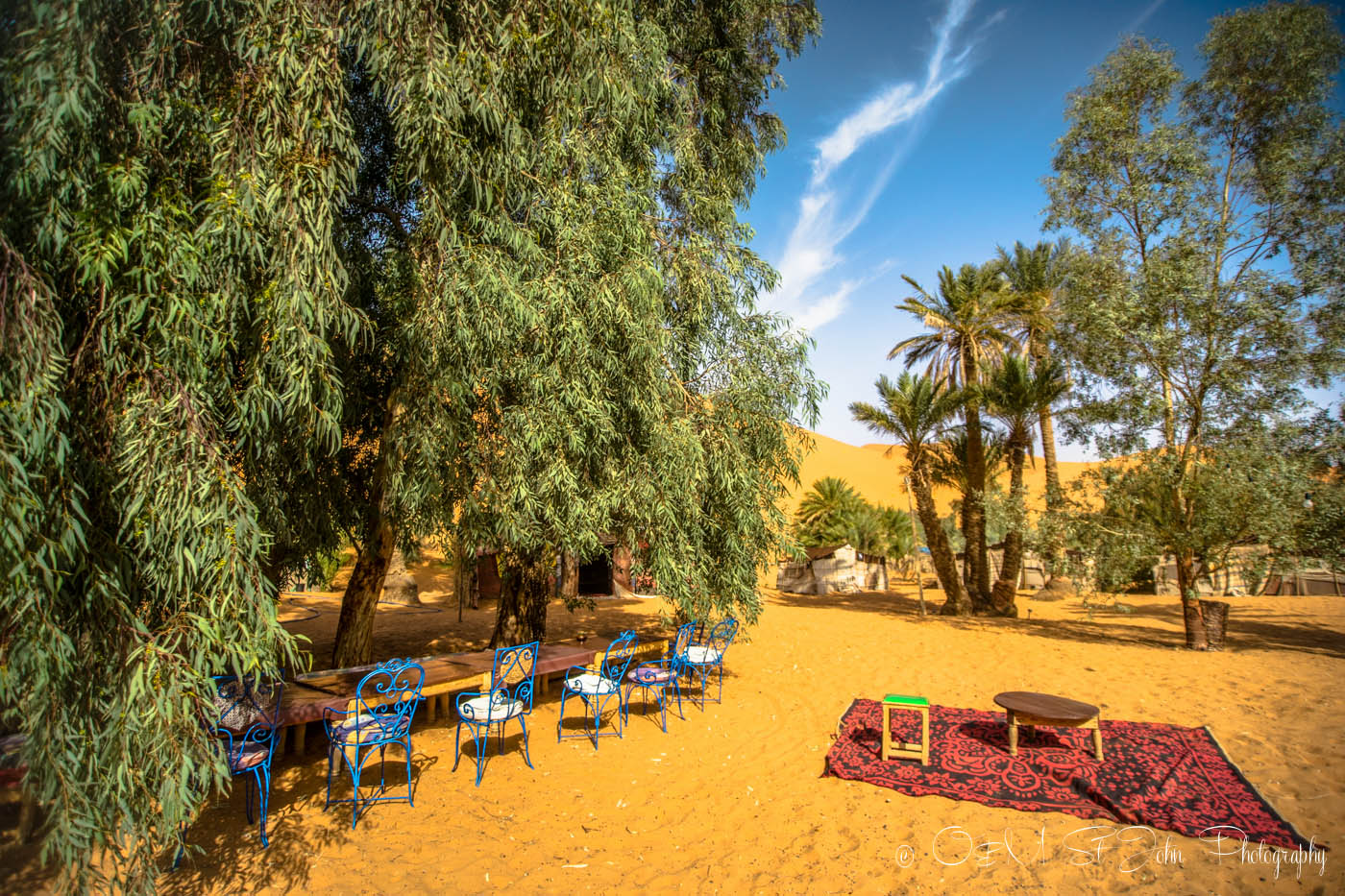 Inside the oasis in Erg Chebbi, Sahara Desert. Morocco