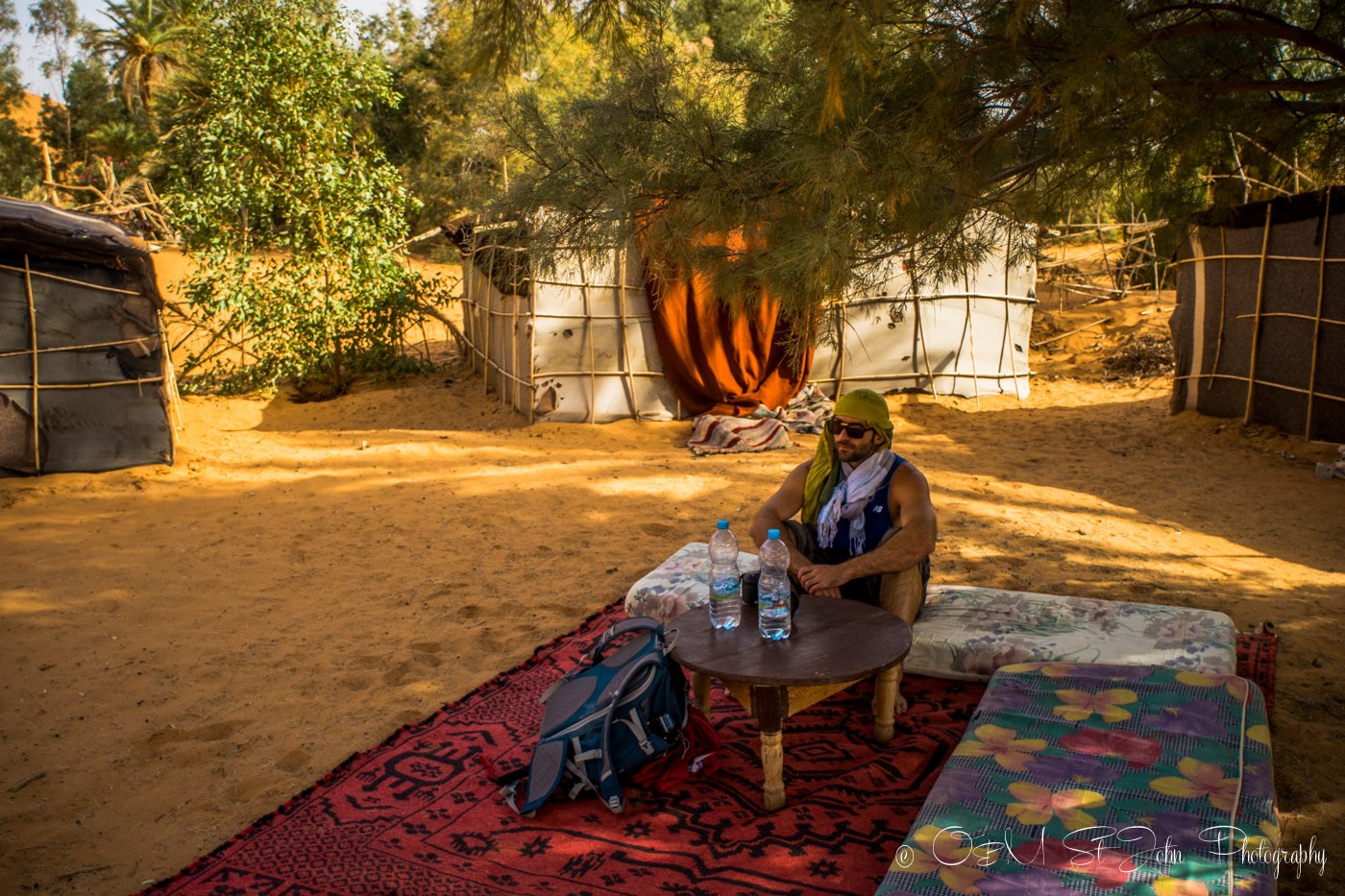 Max relaxing in the shade of the Oubira Oasis. Erg Chebbi. Sahara Desert. Morocco