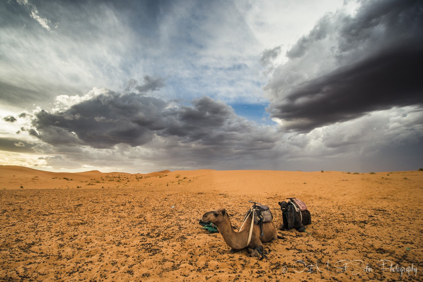 Angry skies over the Erg Chebbi. Sahara Desert. Morocco