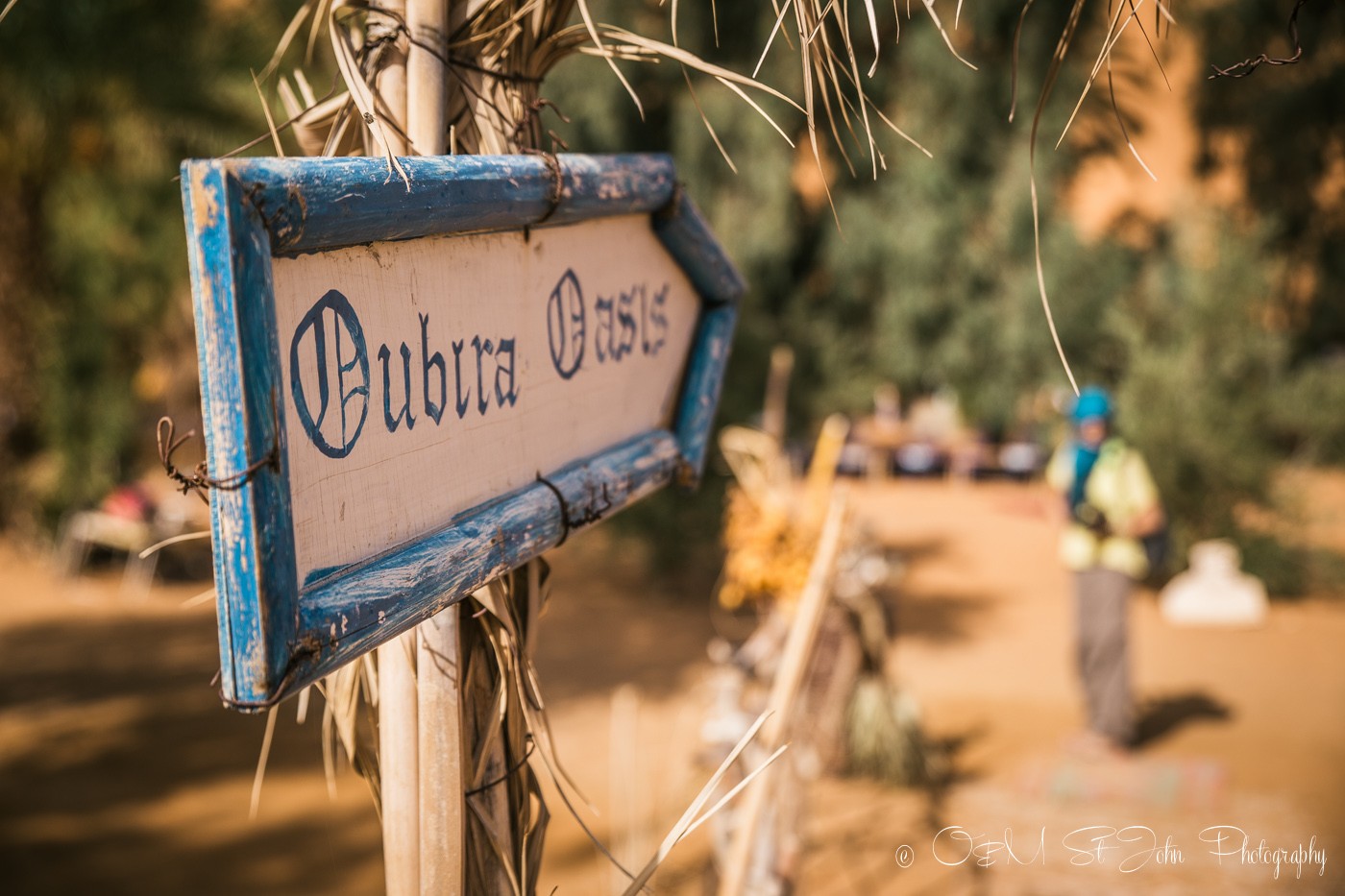 Oubira Oasis, Erg Chebbi, Sahara Desert. Morocco