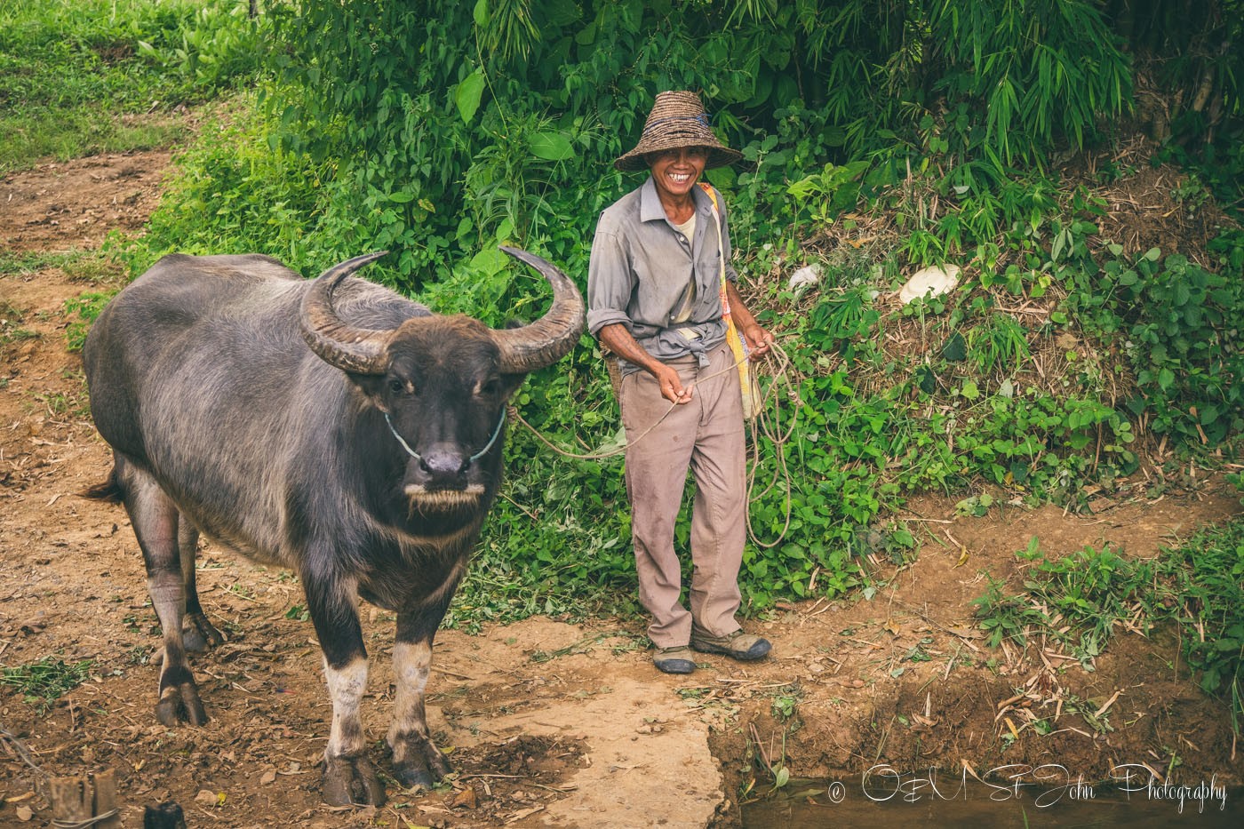 Local villager and his waterbuffalo. Hsipaw. Myanmar