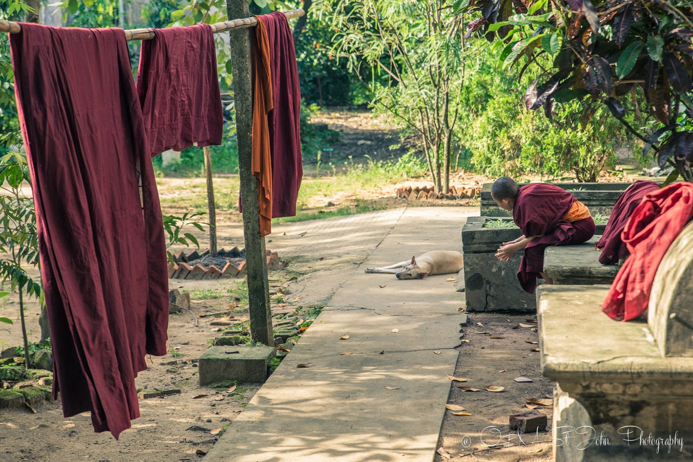 Monk in a monastery in Yangon. Myanmar