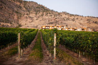 10 Best Wineries in Osoyoos, British Columbia