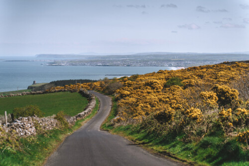 On the Coastal Causeway Route in Norther Ireland
