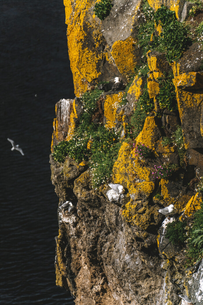 Northern Ireland Causeway Coastal Route Carrick a Rede 01700