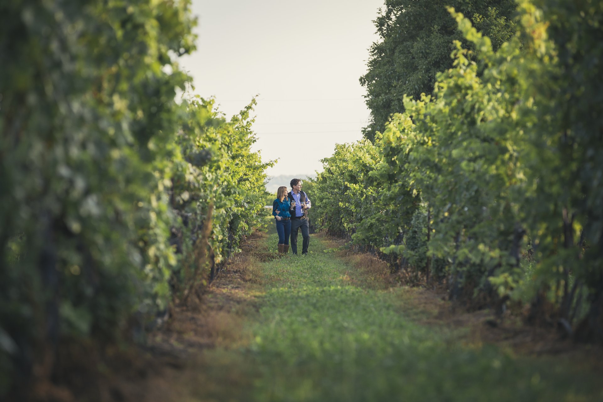 Wineries, things to on in niagara on the lake