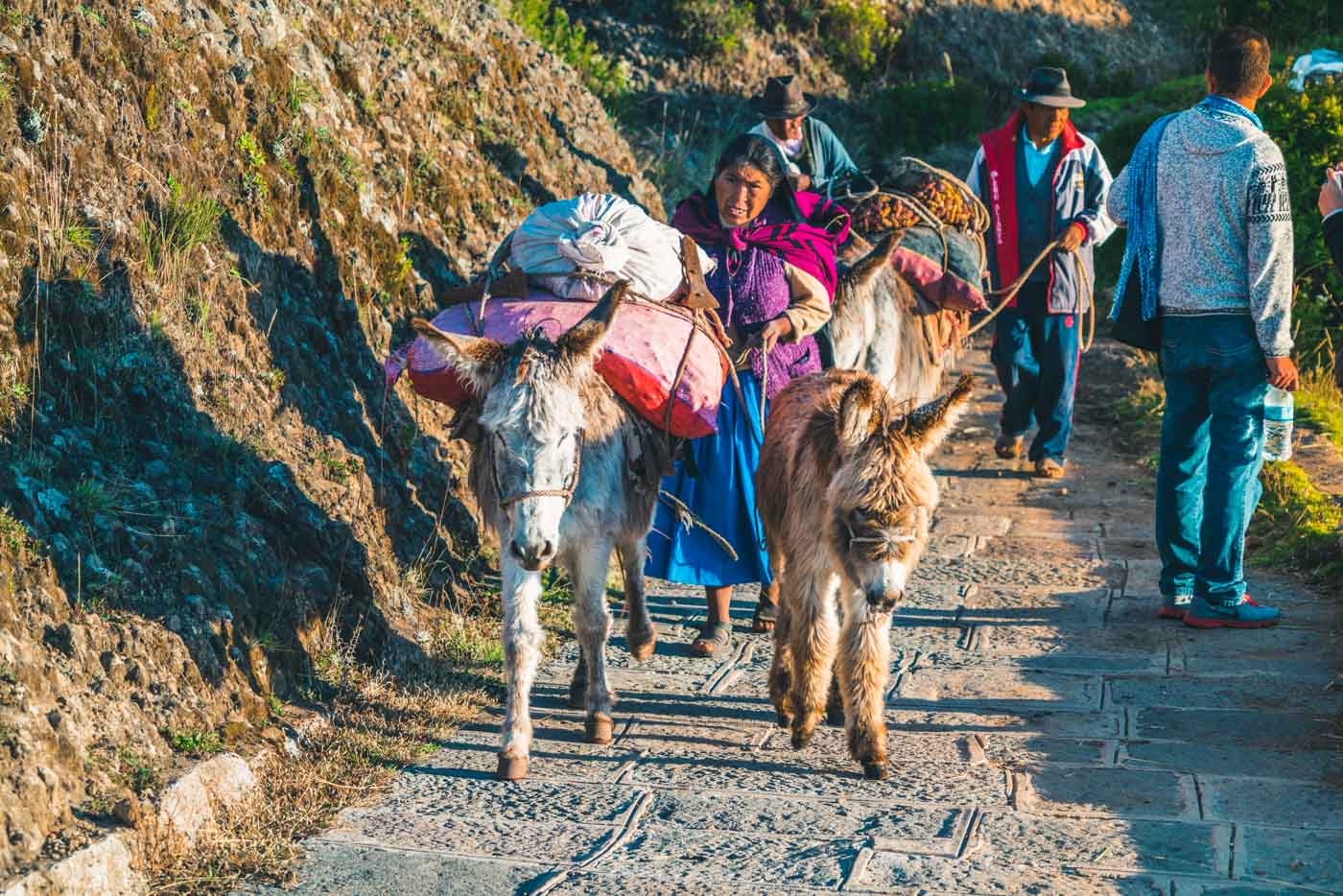 Peru Lake Titicaca Amantani local donkeys 5233