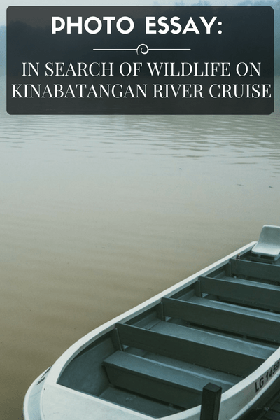 In Search of Wildlife in Kinabatangan River in Sabah, Malaysian Borneo