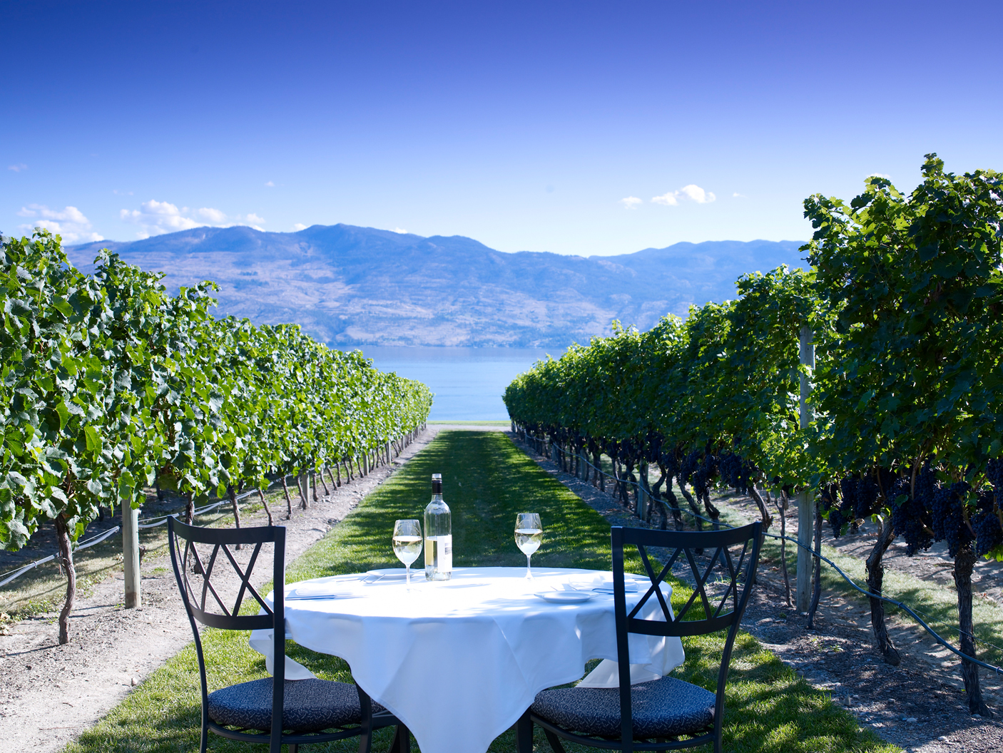 Kelowna, BC Wineries - Quails’ Gate Kelowna