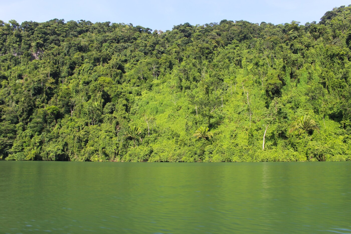 Rio Dulce