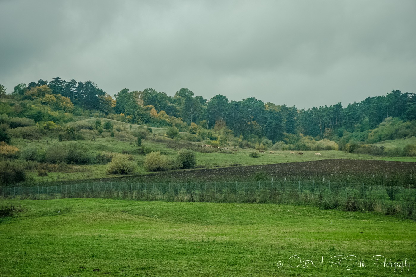 Rolling hills in the Romanian countryside, romania road trip