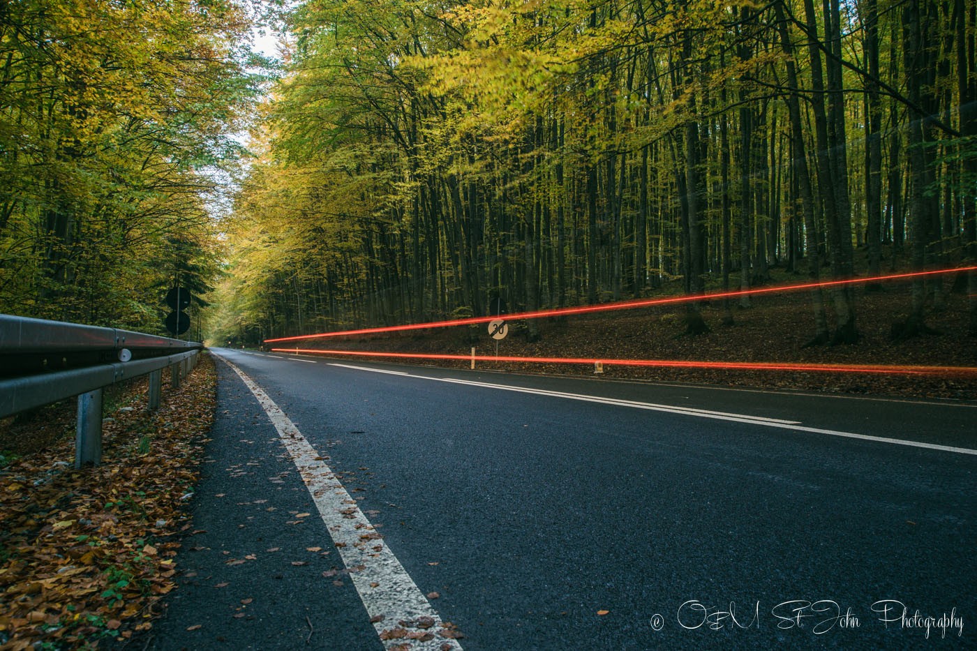 Beautiful forest road. Maramures. Romania