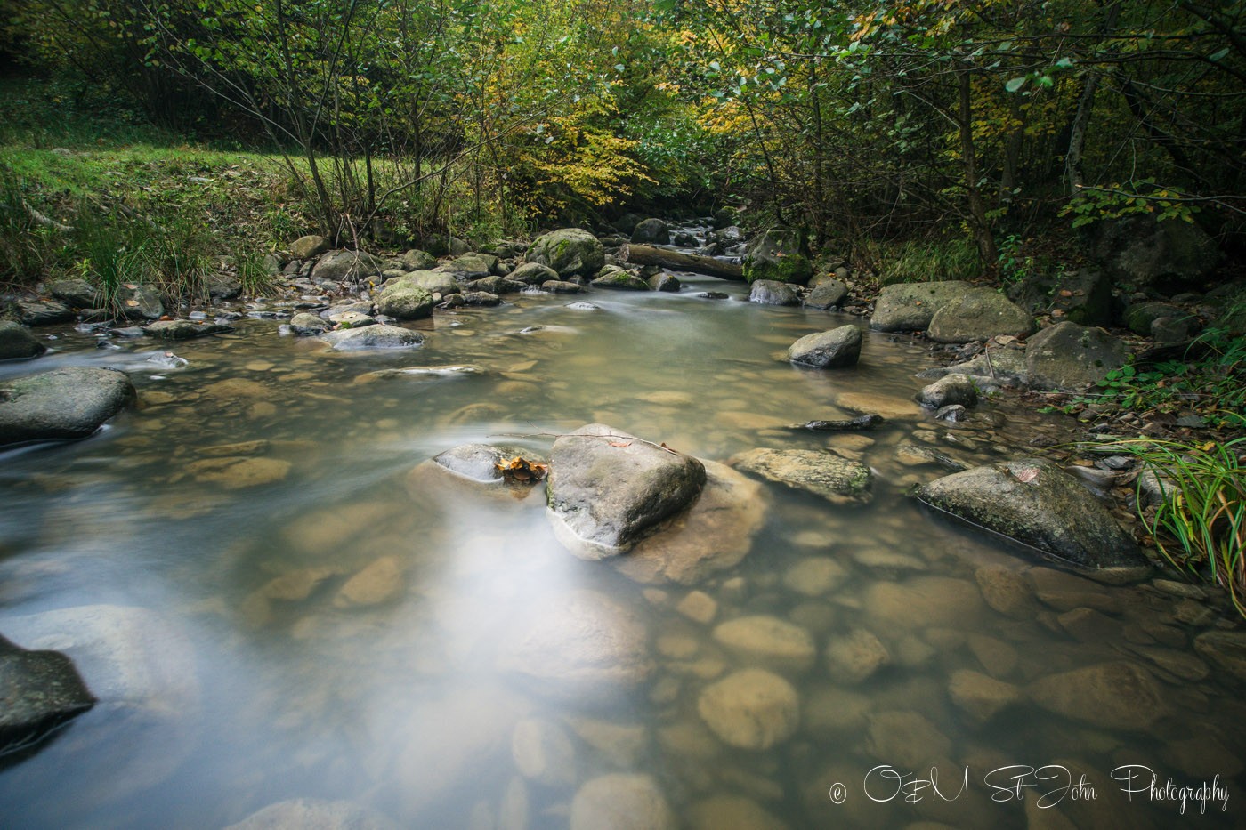 Little creek. Maramures Forest. Romania
