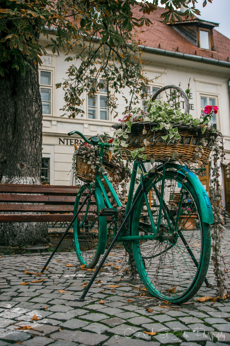 Romania Sighisoara-2166