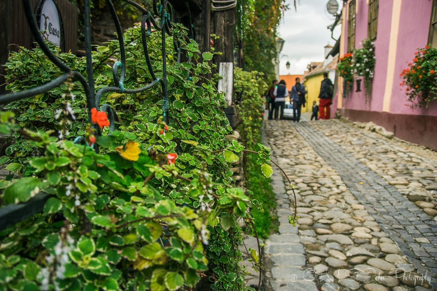 Street in Sighisoara. Romania