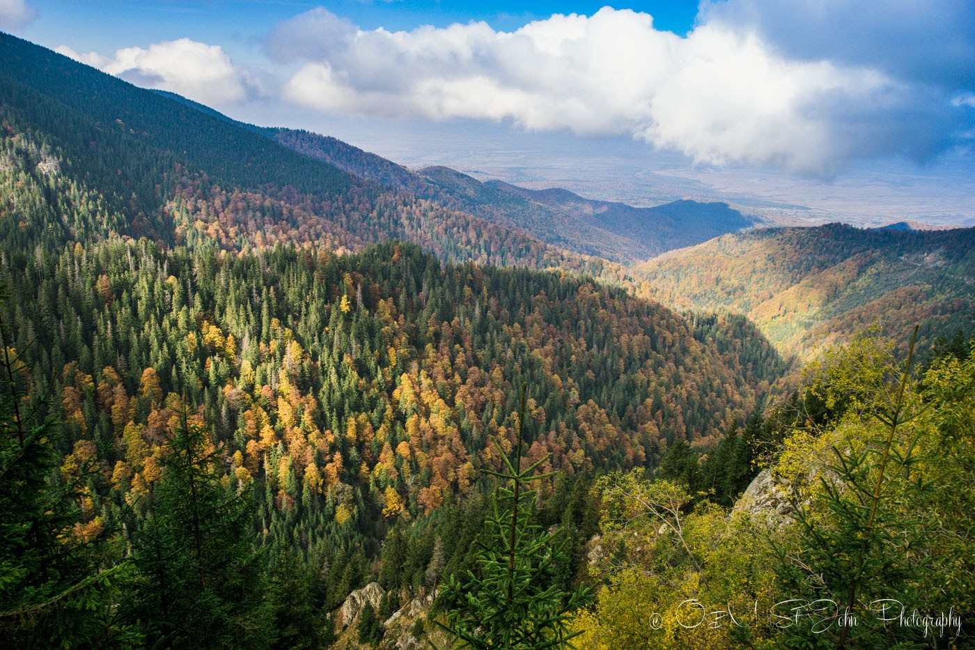 Fall colours. Transfagarasan, Romania