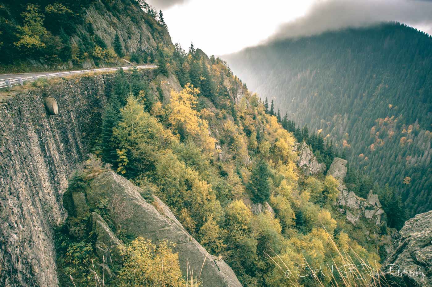 Thick forest lines the Transfagarasan Highway. Road trip in Romania