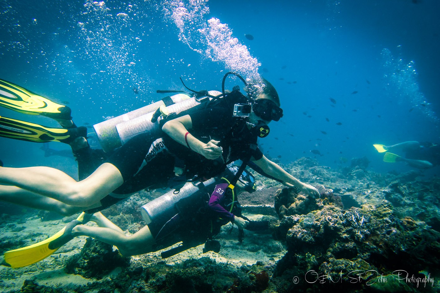 Oksana diving in Sipadan Island. Sabah. Malaysia. Borneo