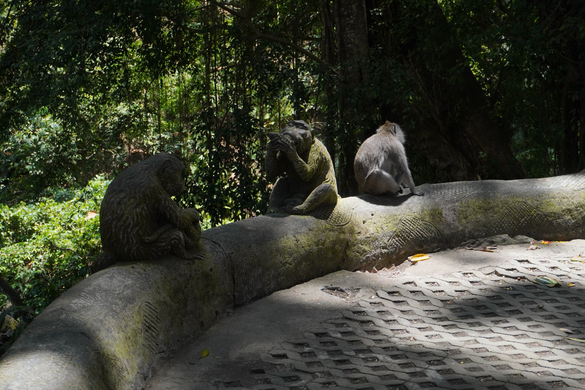 Sacred Monkey Forest Sanctuary, Ubud