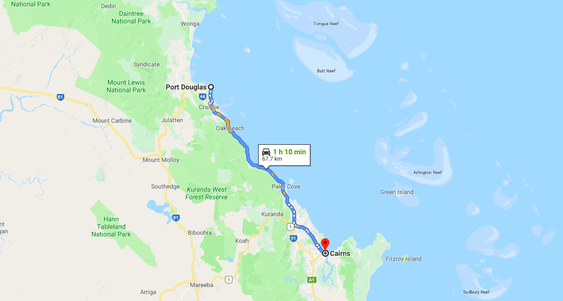 How to get to the Daintree Rainforest from Cairns