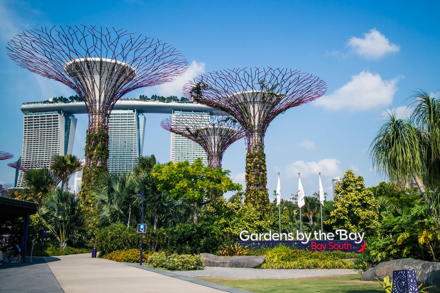 Sunday City Guides: What to do in Singapore